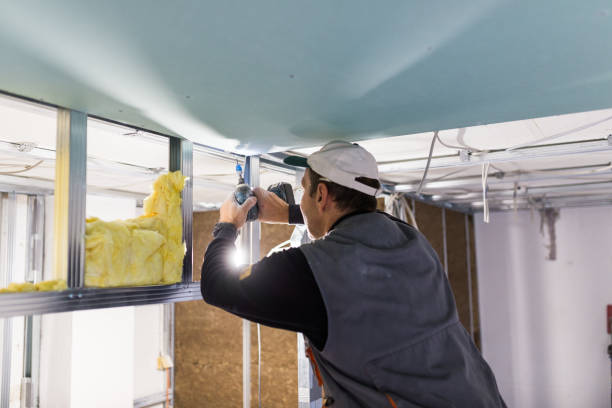 Best Insulation Maintenance and Repair in Springdale, NJ