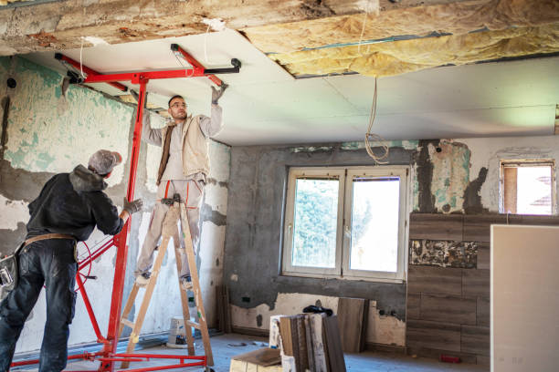 Best Geographic-Specific Insulation Services in Springdale, NJ