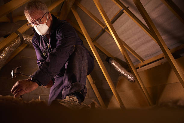Best Cellulose Insulation in Springdale, NJ